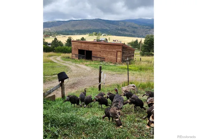 Homes for sale in Drake, CO | 678 Palisade Mountain Dr, Drake, CO 80515 | MLS# IR1061865