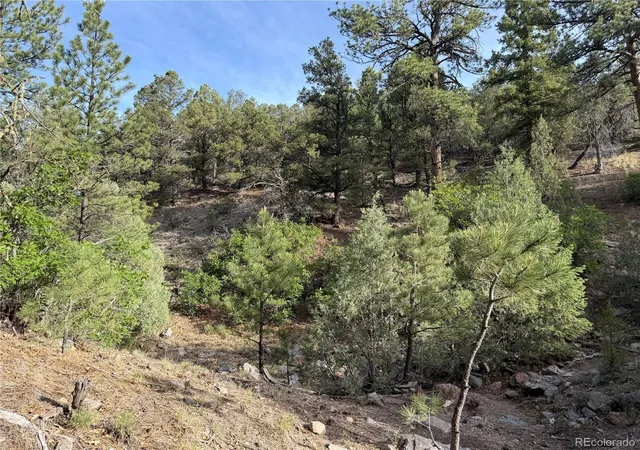Photo 3 of Land for sale at 594 Maurice Dr, Cotopaxi, CO 81223 | MLS# 4451243 | Listing updated on 2026-08-16