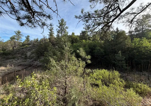 Photo 3 of Land for sale at 594 Maurice Dr, Cotopaxi, CO 81223 | MLS# 4451243 | Listing updated on 2026-08-16
