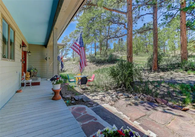 Homes for sale in Pine, CO | 30236 Zurich Dr, Pine, CO 80470 | MLS# 3786280