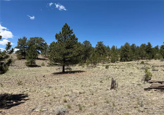 Photo 2 of Land for sale at 595 Bridle Path, Hartsel, CO 80449 | MLS# 6989710 | Listing updated on 2026-06-16