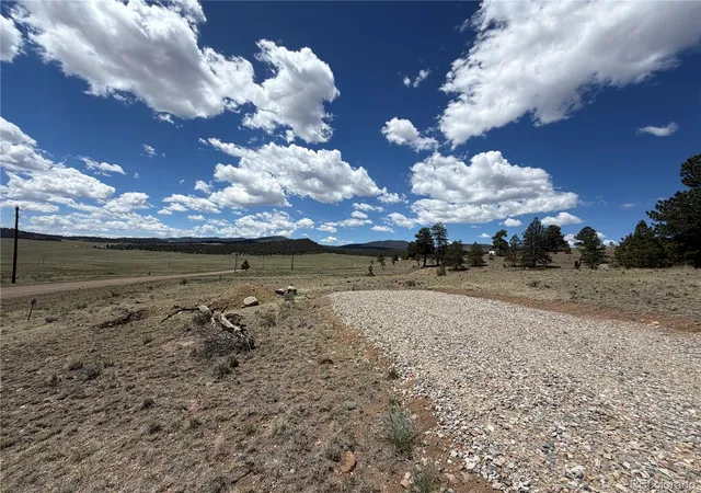 Photo 4 of Land for sale at 595 Bridle Path, Hartsel, CO 80449 | MLS# 6989710 | Listing updated on 2026-06-16