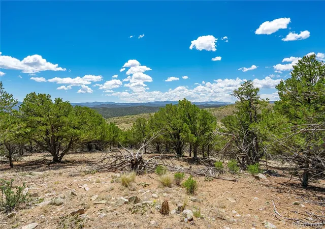 2nd image of 896 Shannon Trl, Cotopaxi, CO 81223 | MLS# 4140045