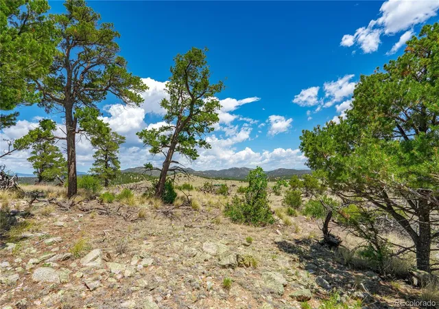 3rd image of 896 Shannon Trl, Cotopaxi, CO 81223 | MLS# 4140045