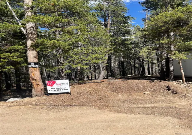 Homes for sale in Idaho Springs, CO | 000 Silver Creek Rd, Idaho Springs, CO 80452 | MLS# 9796967