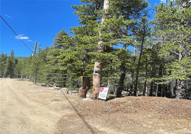 Homes for sale in Idaho Springs, CO | 000 Silver Creek Rd, Idaho Springs, CO 80452 | MLS# 9796967