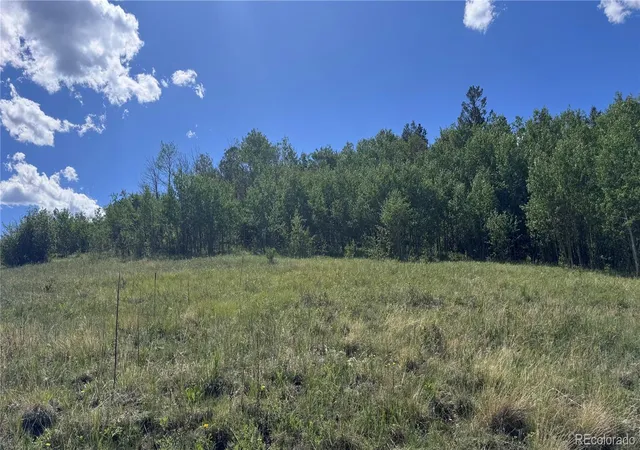 4th image of 002 Mac Rock Rd, Central City, CO 80427 | MLS# 6704165