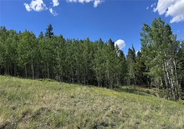 5th image of 002 Mac Rock Rd, Central City, CO 80427 | MLS# 6704165