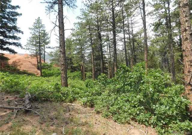 Homes for sale in Larkspur, CO | 8356 Quivas Rd, Larkspur, CO 80118 | MLS# 4603075