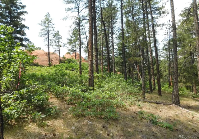 Homes for sale in Larkspur, CO | 8356 Quivas Rd, Larkspur, CO 80118 | MLS# 4603075