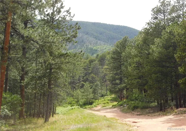 Homes for sale in Larkspur, CO | 8356 Quivas Rd, Larkspur, CO 80118 | MLS# 4603075