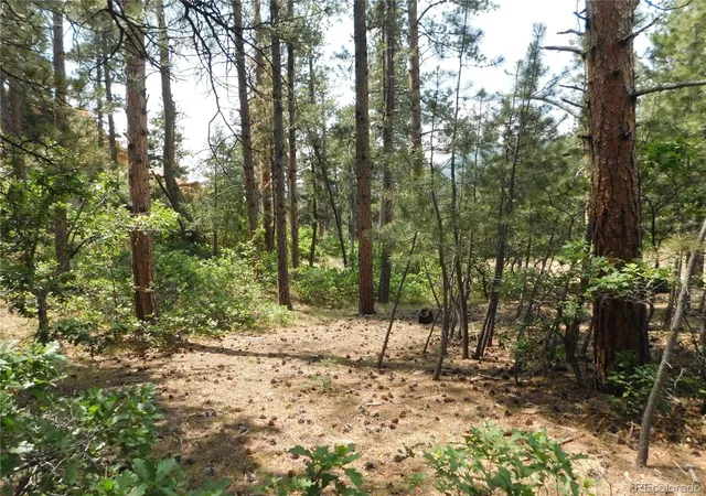 Homes for sale in Larkspur, CO | 8356 Quivas Rd, Larkspur, CO 80118 | MLS# 4603075
