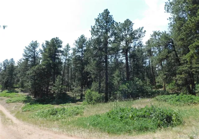 Homes for sale in Larkspur, CO | 4480 Delaware Dr, Larkspur, CO 80118 | MLS# 7179915