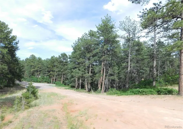 Homes for sale in Larkspur, CO | 4480 Delaware Dr, Larkspur, CO 80118 | MLS# 7179915
