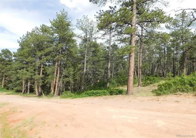 Homes for sale in Larkspur, CO | 4480 Delaware Dr, Larkspur, CO 80118 | MLS# 7179915