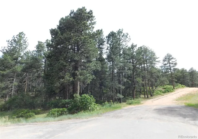 Homes for sale in Larkspur, CO | 4480 Delaware Dr, Larkspur, CO 80118 | MLS# 7179915