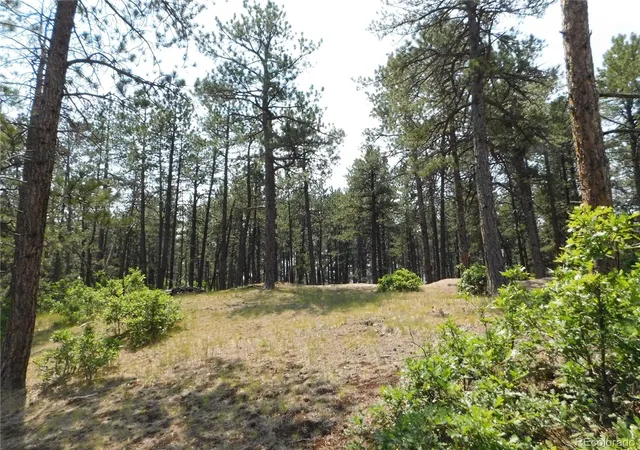 Homes for sale in Larkspur, CO | 4480 Delaware Dr, Larkspur, CO 80118 | MLS# 7179915