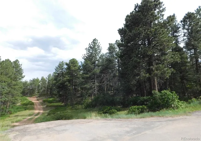 Homes for sale in Larkspur, CO | 4480 Delaware Dr, Larkspur, CO 80118 | MLS# 7179915