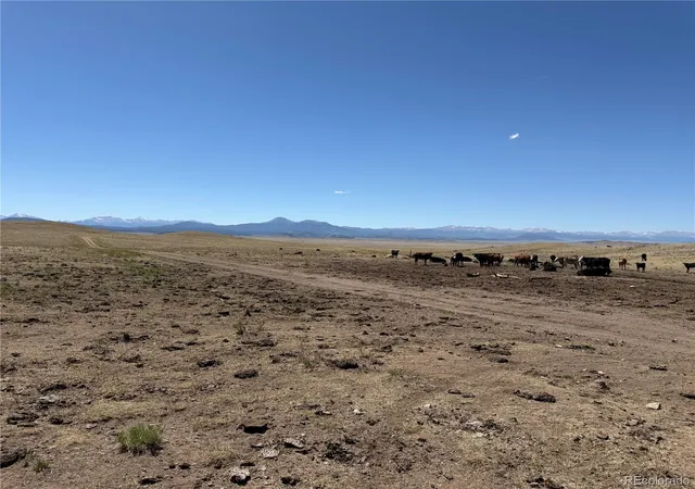Photo 2 of Land for sale at 3216 Coweta Trl, Hartsel, CO 80449 | MLS# 8779458 | Listing updated on 2026-07-25