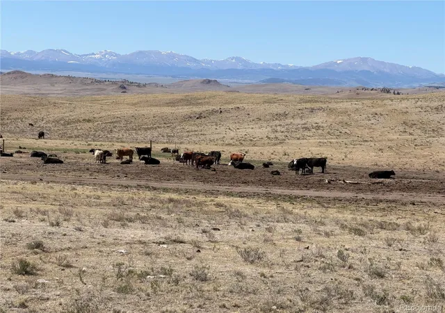 Photo 35 of Land for sale at 3216 Coweta Trl, Hartsel, CO 80449 | MLS# 8779458 | Listing updated on 2026-07-25