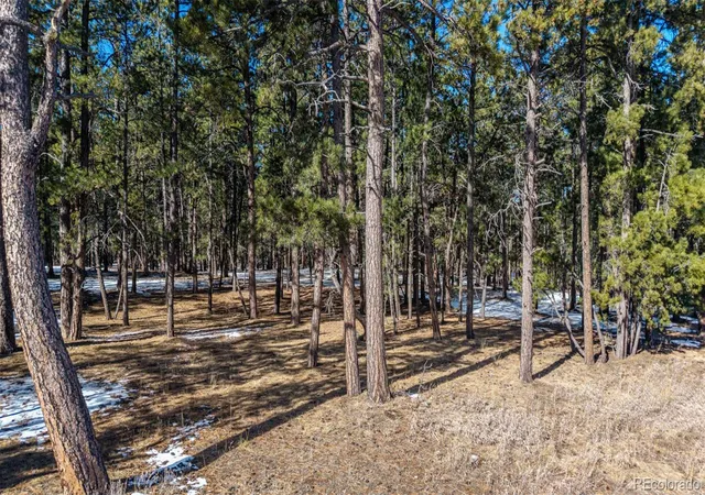 14th image of 10775 Hardy Rd, Colorado Springs, CO 80908 | MLS# 9597472