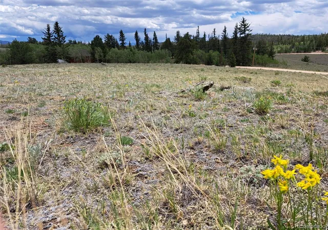 Homes for sale in Jefferson, CO | 149 Mustang Rd, Jefferson, CO 80456 | MLS# 4627547