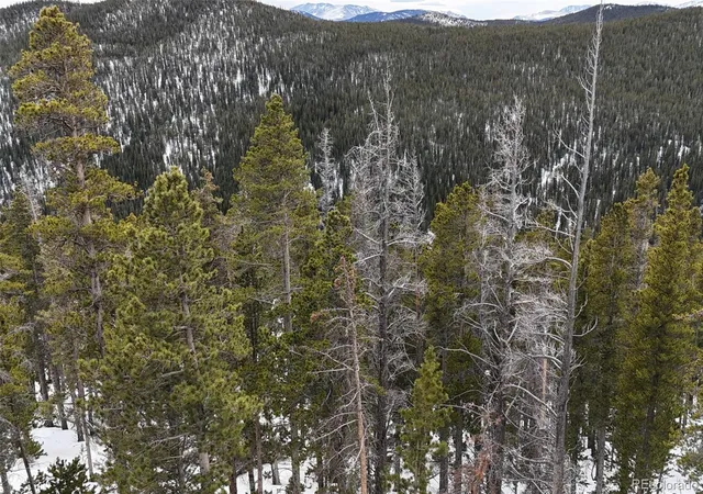 Homes for sale in Idaho Springs, CO | 156 Vista Rd, Idaho Springs, CO 80452 | MLS# 4570340