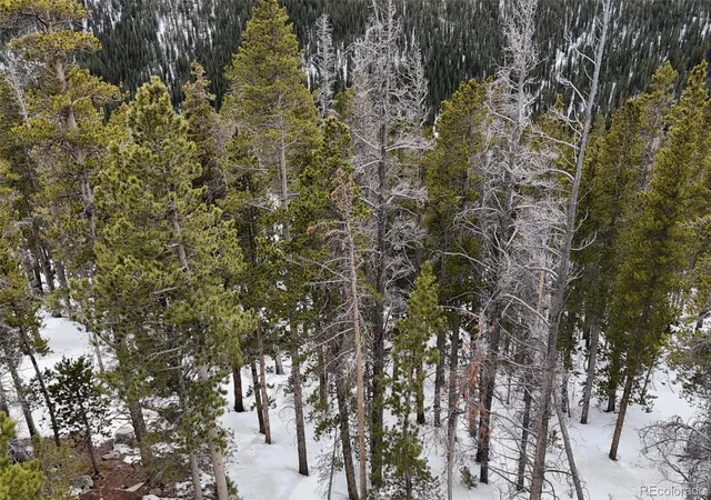 Homes for sale in Idaho Springs, CO | 156 Vista Rd, Idaho Springs, CO 80452 | MLS# 4570340