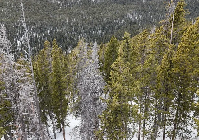 Photo 3 of Land for sale at 156 Vista Rd, Idaho Springs, CO 80452 | MLS# 4570340 | Listing updated on 2026-10-07