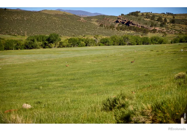 5th image of 10339 Buckhorn Ridge Wy, Loveland, CO 80538 | MLS# IR1062074