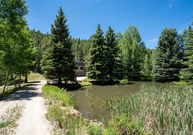 Homes for sale in Bailey, CO | 384 Brookside Dr, Bailey, CO 80421 | MLS# 4570747