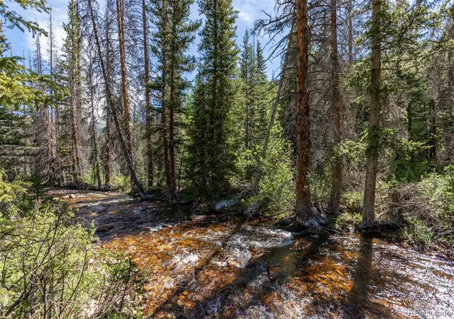 Homes for sale in Nathrop, CO | 18990 Cr 294, Nathrop, CO 81236 | MLS# 2565229
