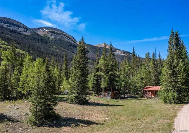 Homes for sale in Nathrop, CO | 18990 Cr-294, Nathrop, CO 81236 | MLS# 2565229