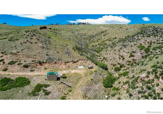4th image of 173 Grays Peak Ct, Livermore, CO 80536 | MLS# IR1062122