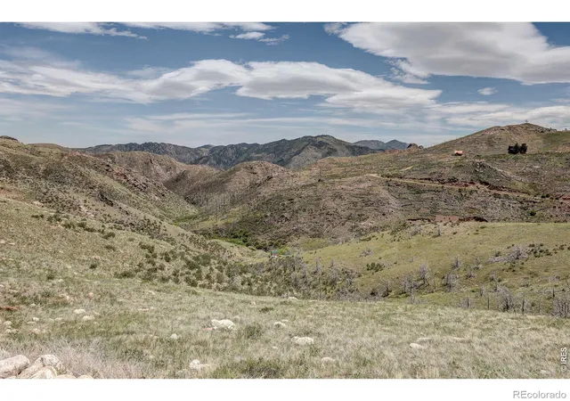 49th image of 173 Grays Peak Ct, Livermore, CO 80536 | MLS# IR1062122