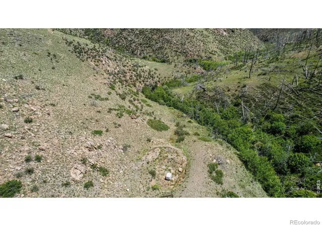 5th image of 173 Grays Peak Ct, Livermore, CO 80536 | MLS# IR1062122