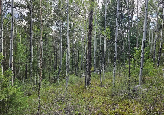 Photo 2 of Land for sale at Lot 6474 Malcolm Rd, San Luis, CO 81152 | MLS# 6202704 | Listing updated on 2026-06-18
