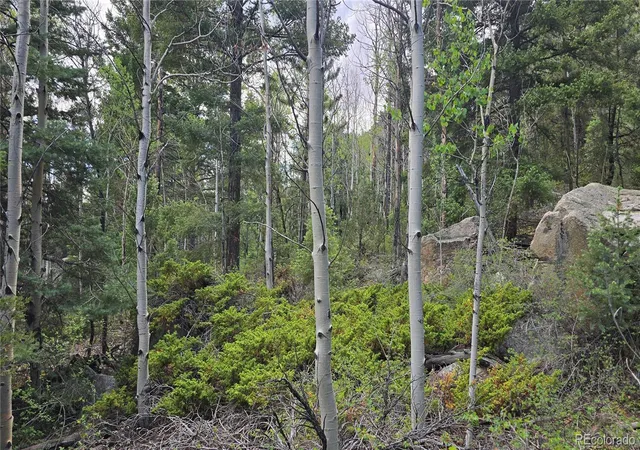 Photo 3 of Land for sale at Lot 6474 Malcolm Rd, San Luis, CO 81152 | MLS# 6202704 | Listing updated on 2026-06-18