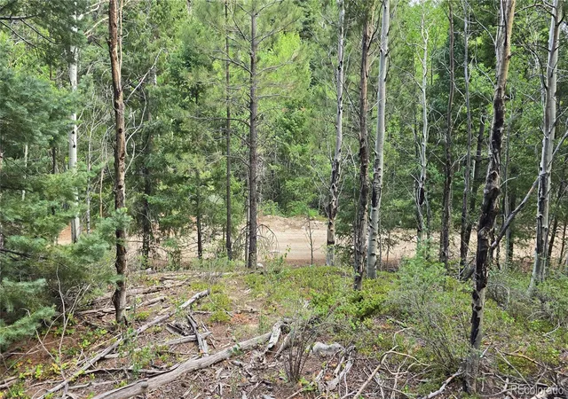 Photo 4 of Land for sale at Lot 6474 Malcolm Rd, San Luis, CO 81152 | MLS# 6202704 | Listing updated on 2026-06-18