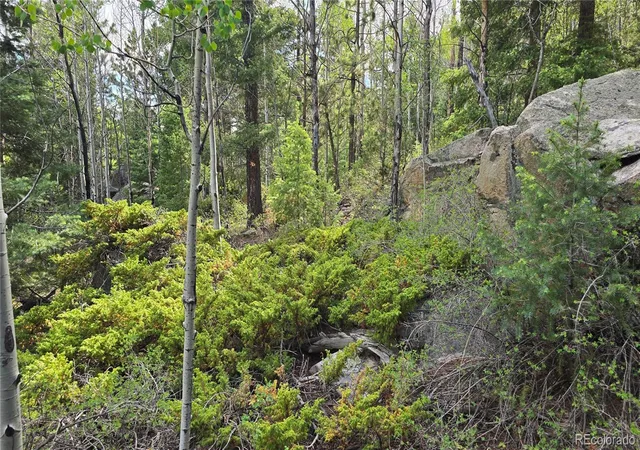 Photo 5 of Land for sale at Lot 6474 Malcolm Rd, San Luis, CO 81152 | MLS# 6202704 | Listing updated on 2026-06-18