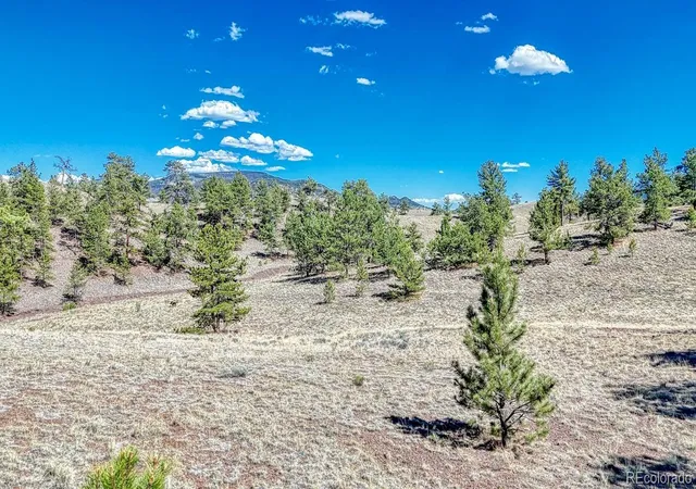 3rd image of Lot 11 Hwy 9, Hartsel, CO 80449 | MLS# 1885621