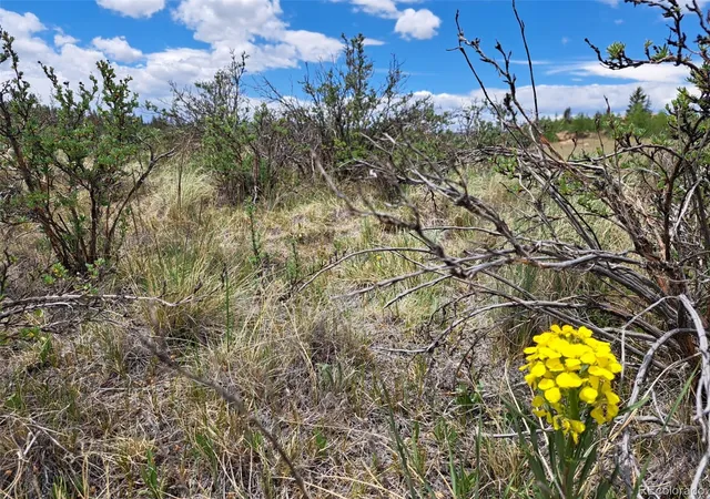 Photo 3 of Land for sale at 80 Longbow Ct, Jefferson, CO 80456 | MLS# 7430037 | Listing updated on 2026-06-18