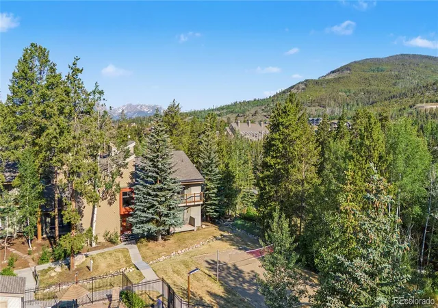 Homes for sale in Dillon, CO | 100 Wild Irishman Road, Dillon, CO 80435 | Houzeo