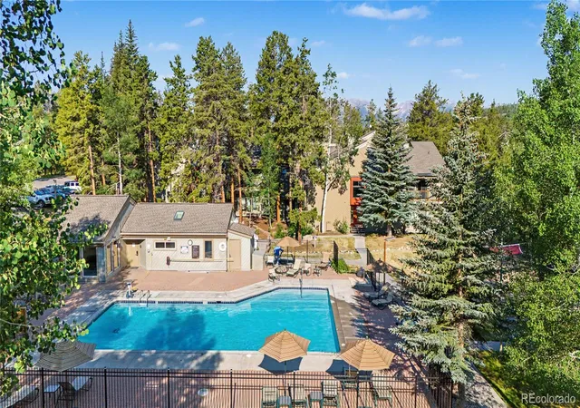 Homes for sale in Dillon, CO | 100 Wild Irishman Rd #1109, Dillon, CO 80435 | MLS# 5073667