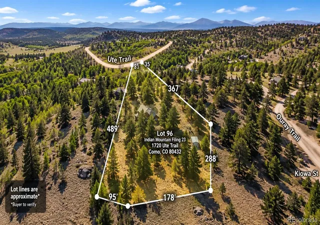 Homes for sale in Como, CO | 1720 Ute Trl, Como, CO 80432 | MLS# 9141039