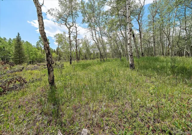 Homes for sale in Black Hawk, CO | 151 Golden Leaf Wy, Black Hawk, CO 80422 | MLS# 4365415