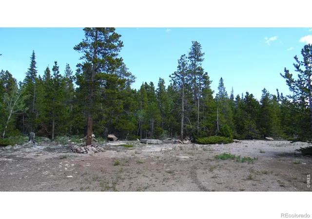 2nd image of 350 Natchez Cir, Red Feather Lakes, CO 80545 | MLS# IR1062224