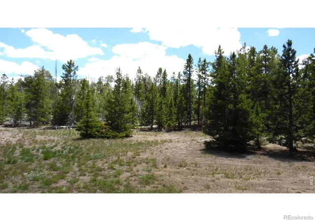 4th image of 350 Natchez Cir, Red Feather Lakes, CO 80545 | MLS# IR1062224