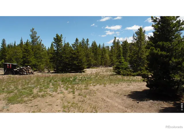 9th image of 350 Natchez Cir, Red Feather Lakes, CO 80545 | MLS# IR1062224