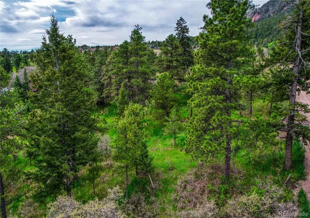 Homes for sale in Palmer Lake, CO | 0 Buena Vista Ave, Palmer Lake, CO 80133 | MLS# 2618870
